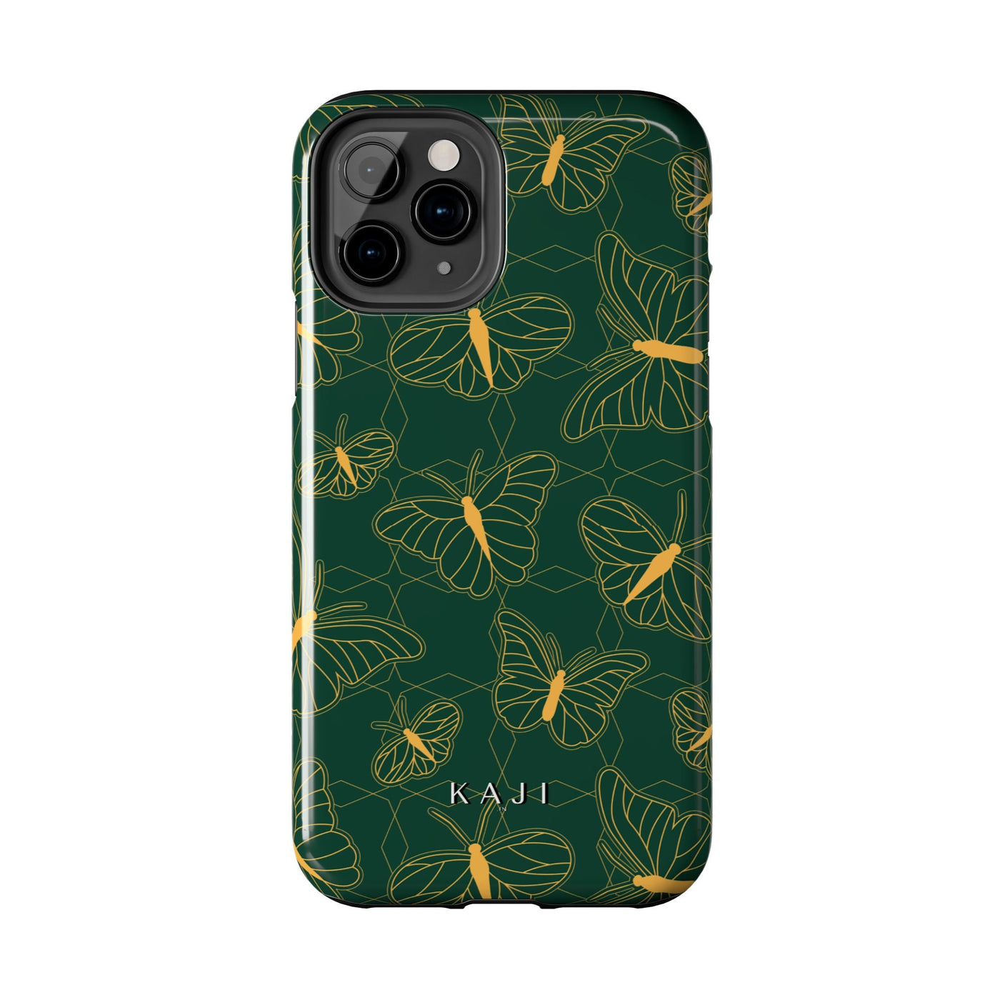 Papilio