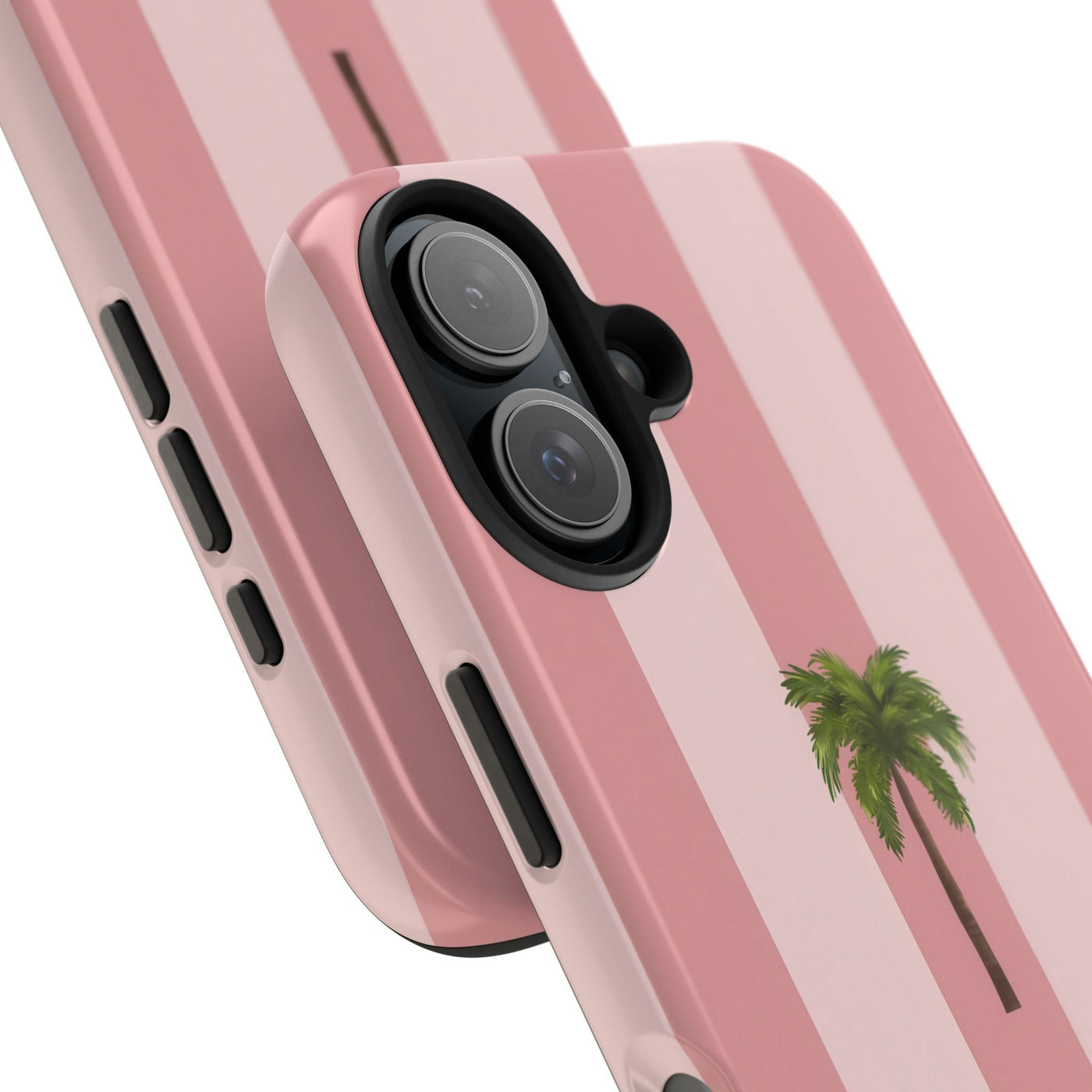 Palmera