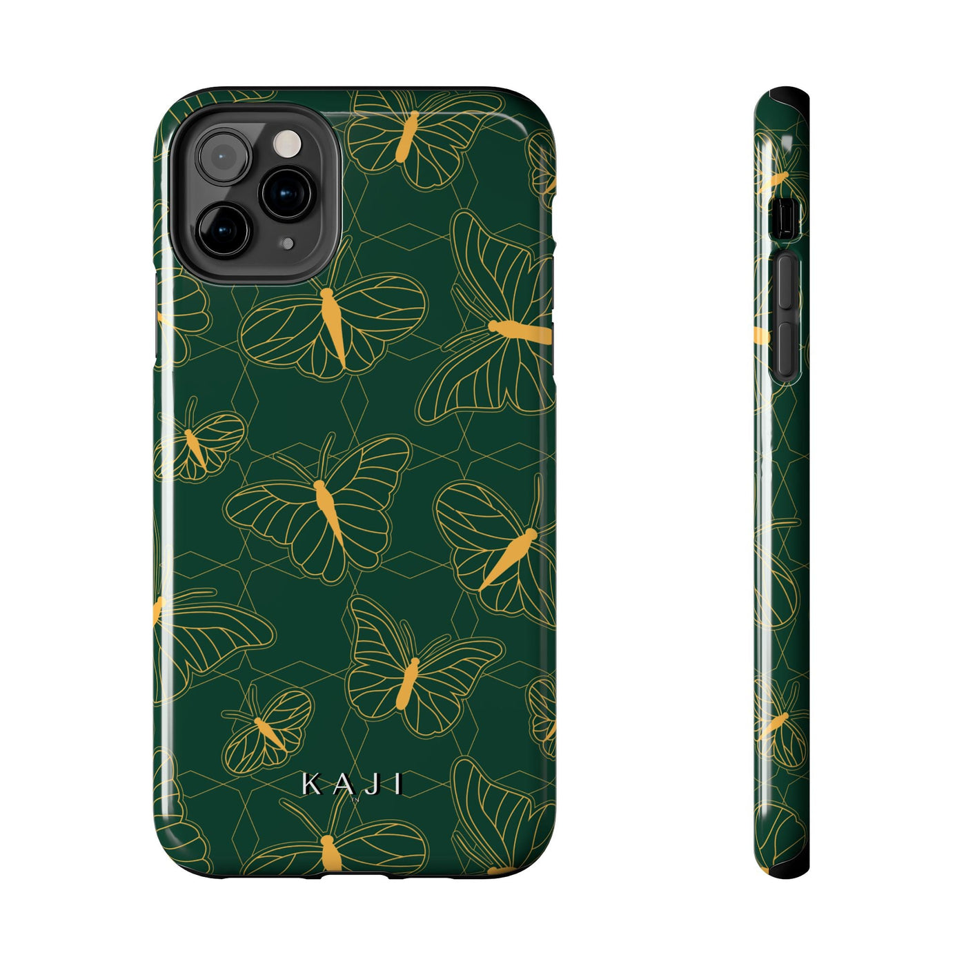 Papilio