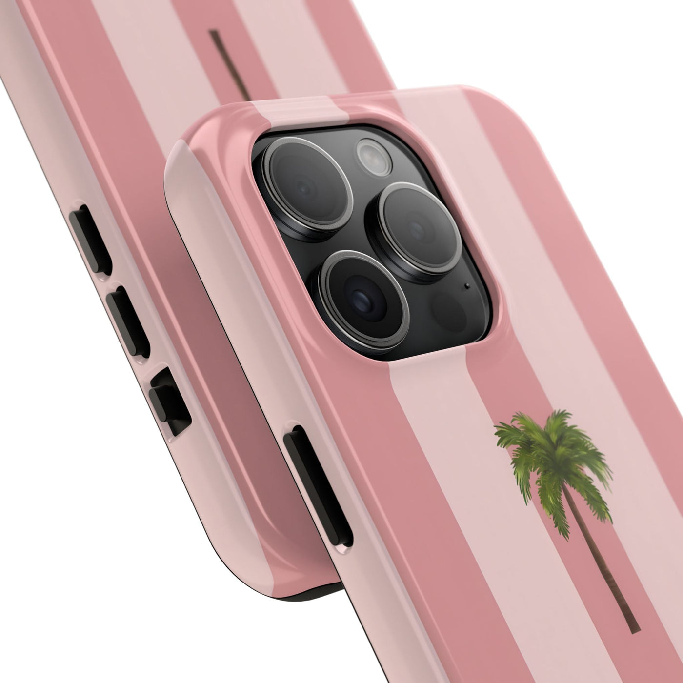Palmera