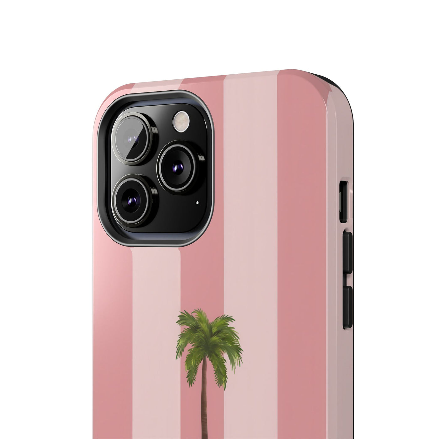 Palmera