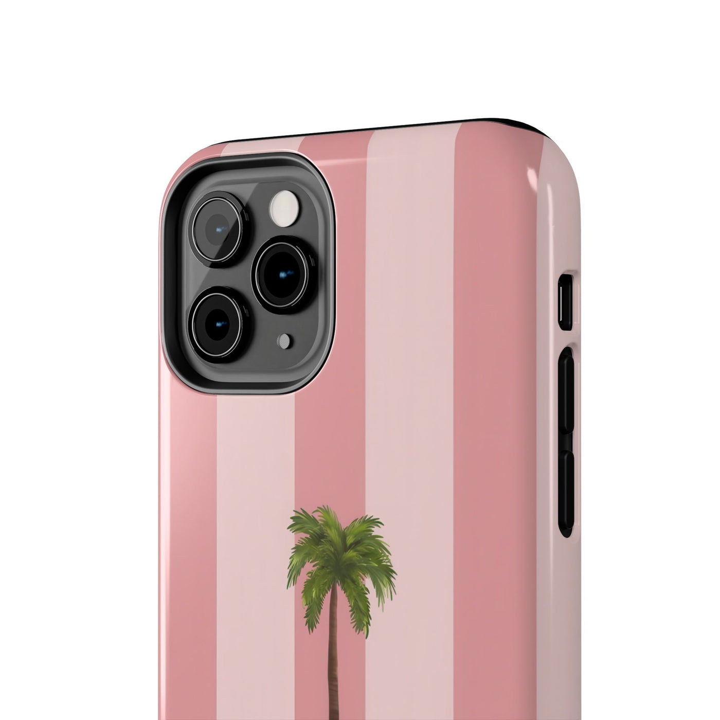 Palmera