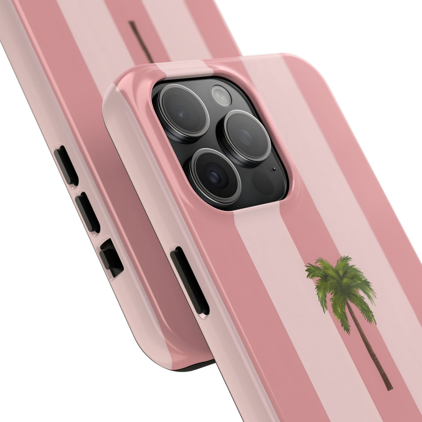 Palmera