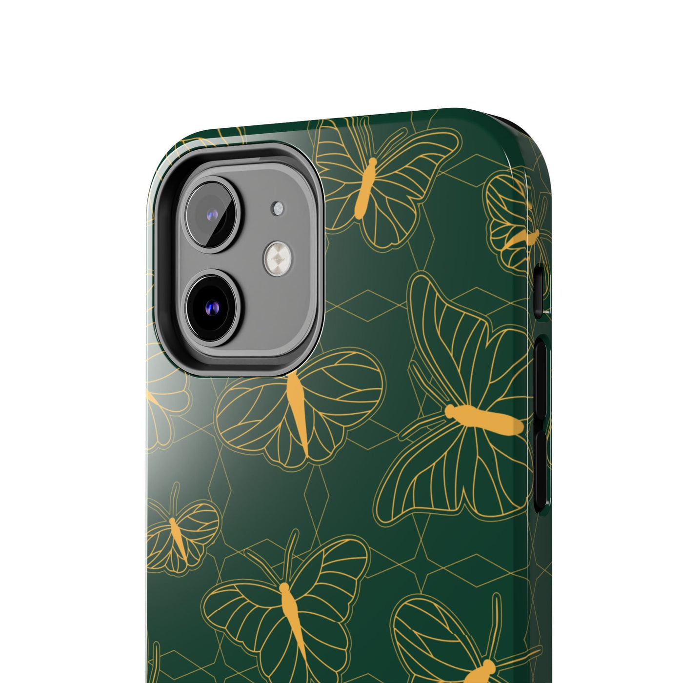 Papilio