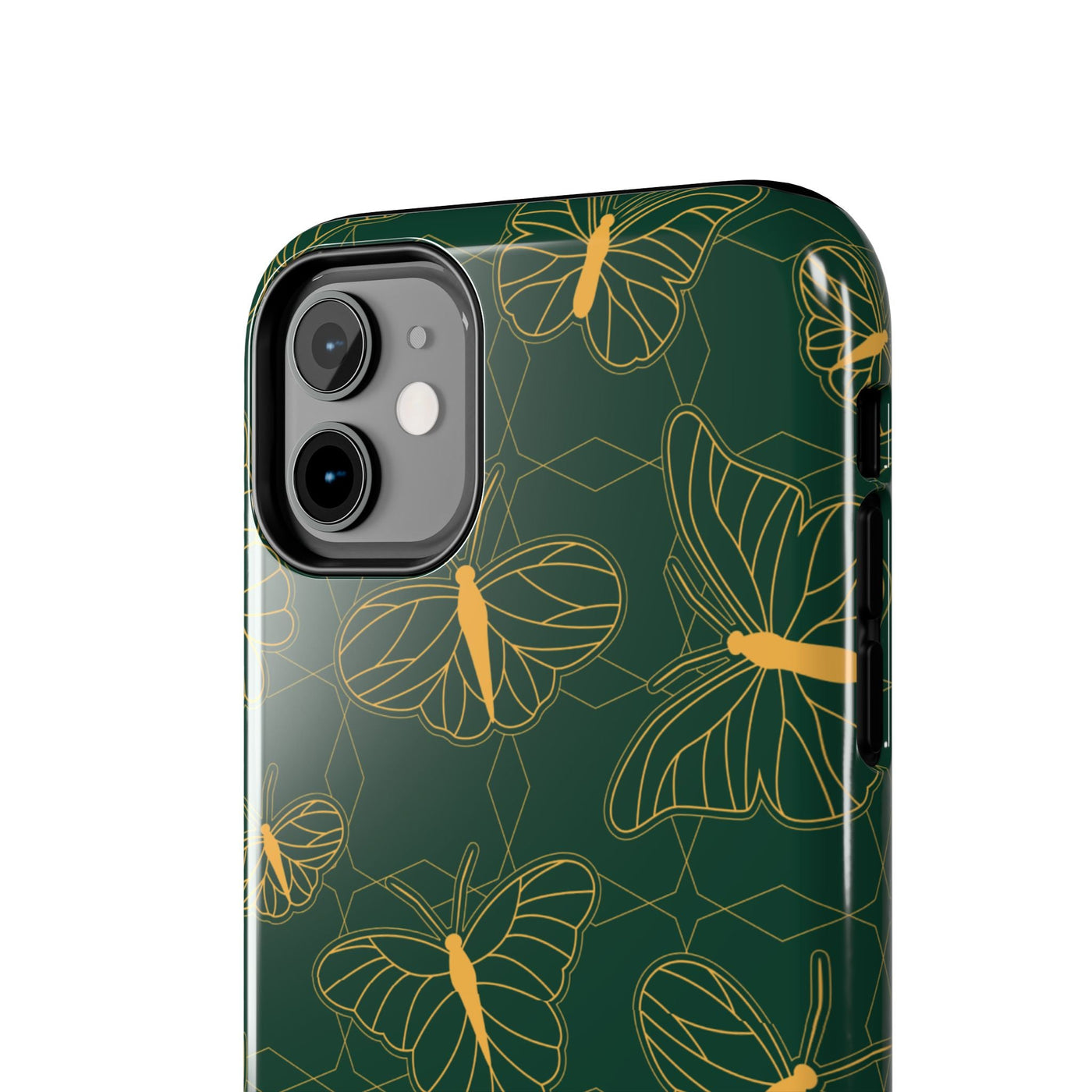 Papilio