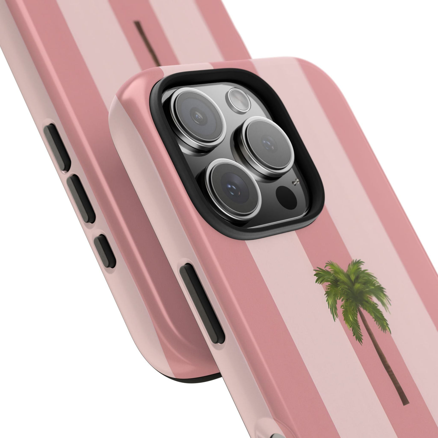 Palmera