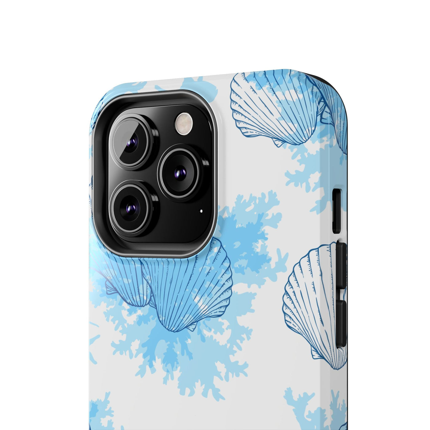 AquaShell