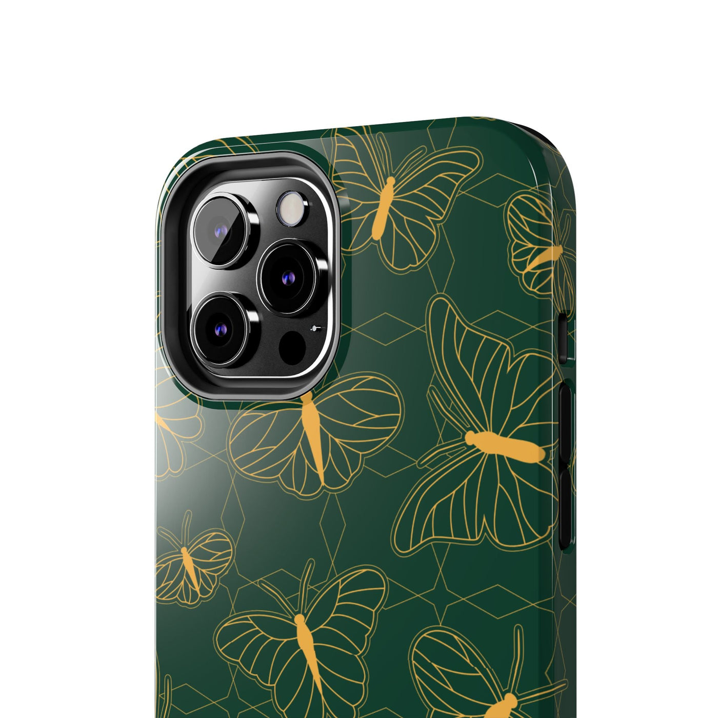 Papilio