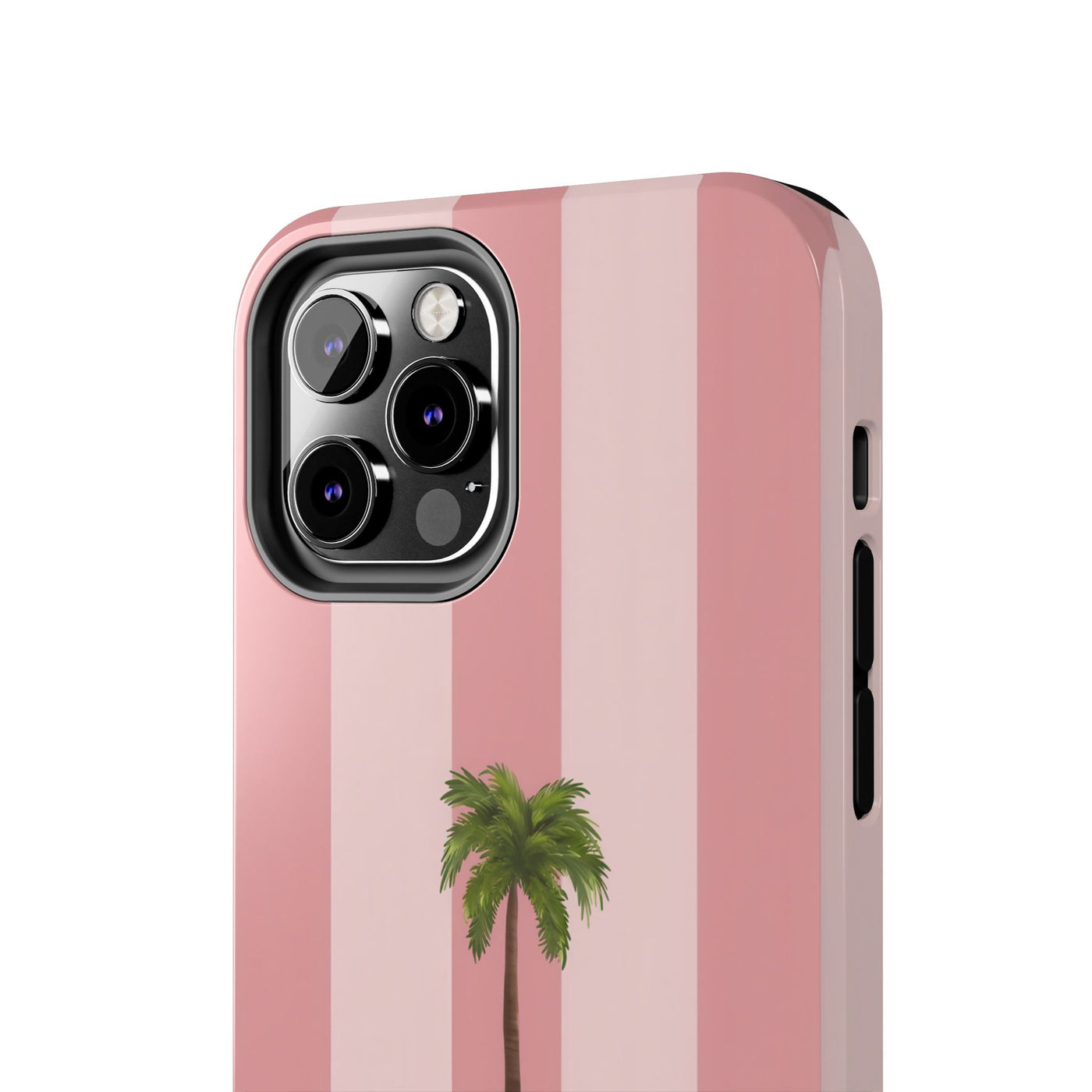Palmera