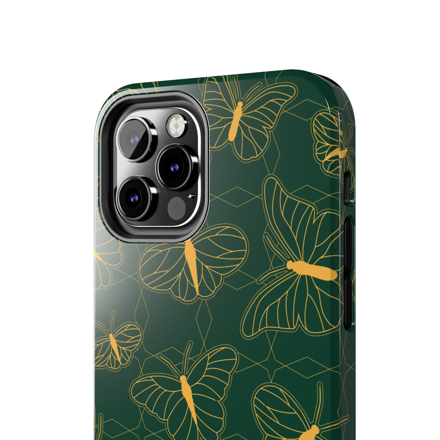 Papilio