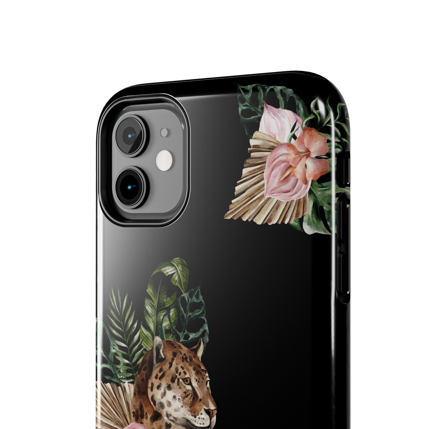 Savanna