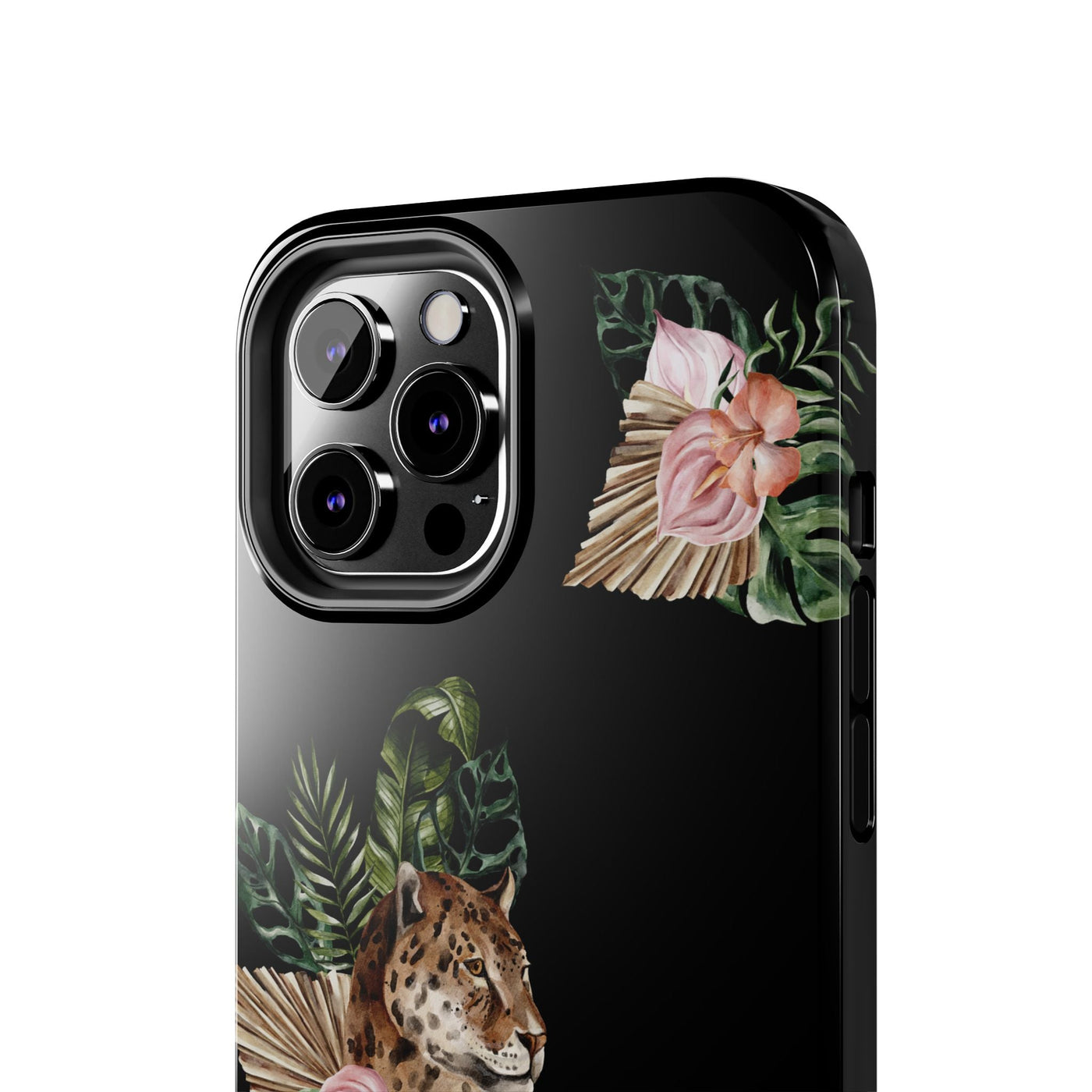 Savanna