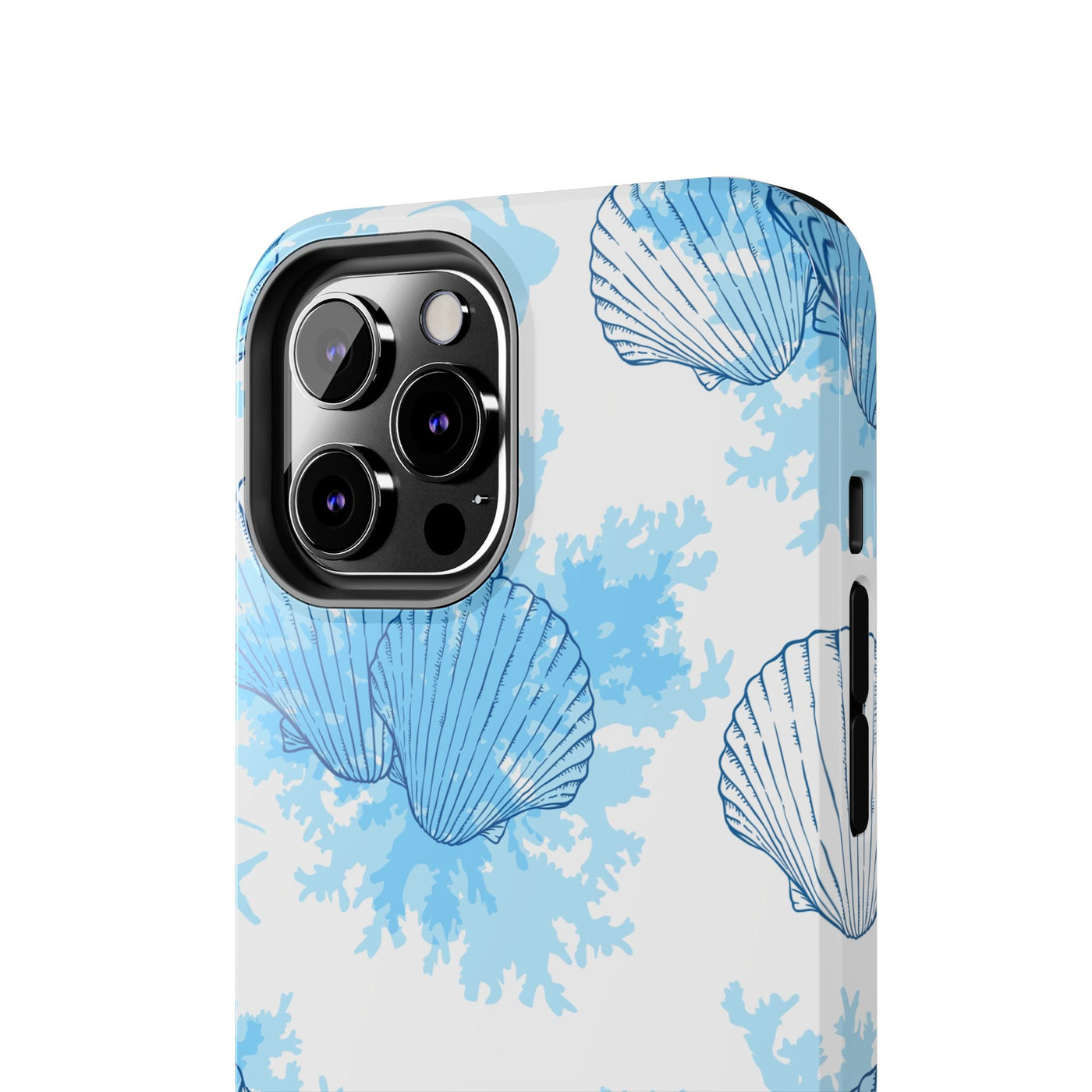 AquaShell