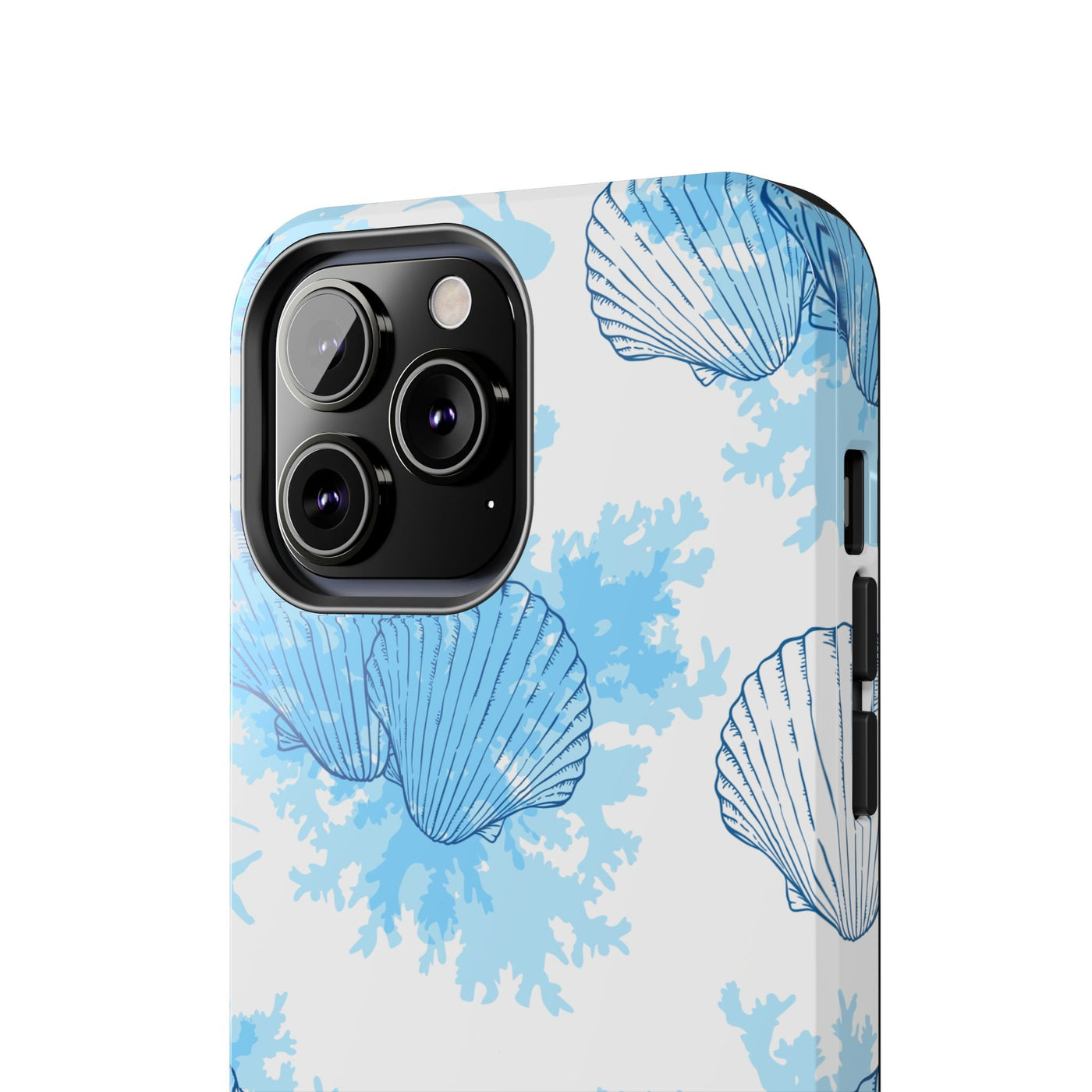 AquaShell