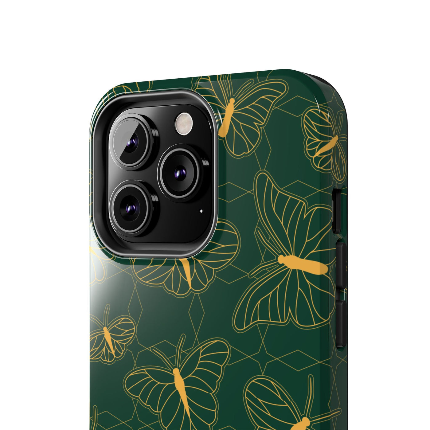 Papilio