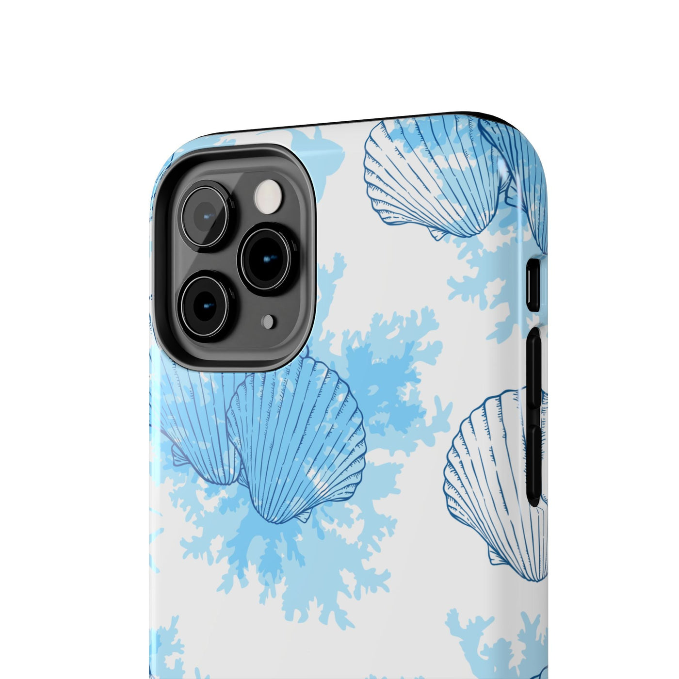 AquaShell