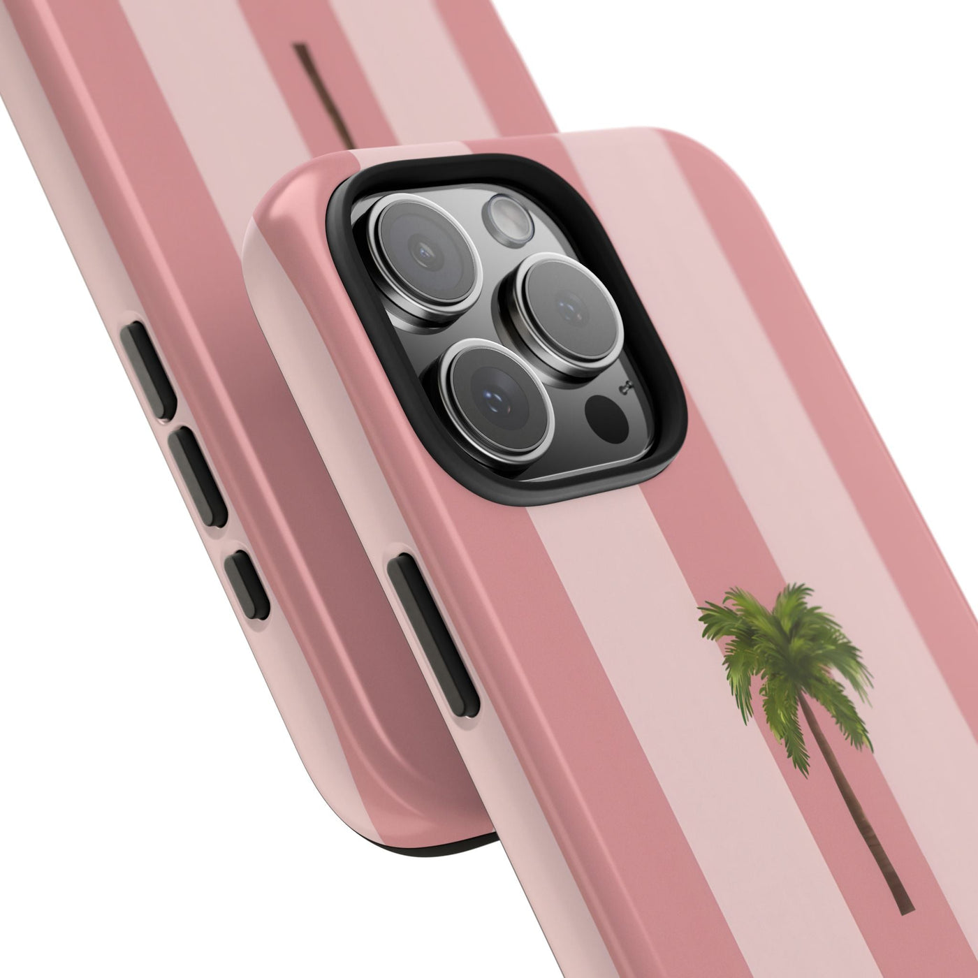 Palmera