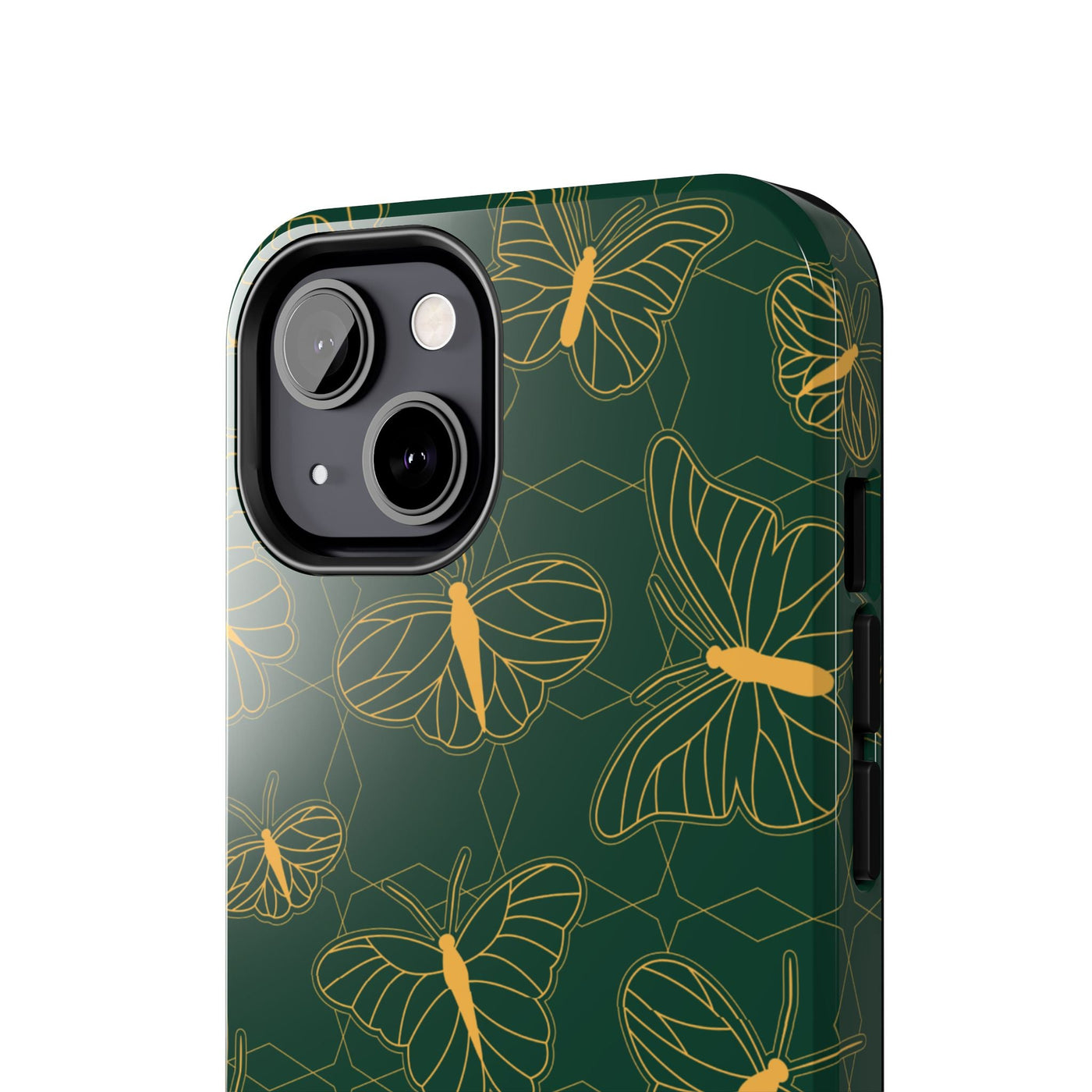 Papilio
