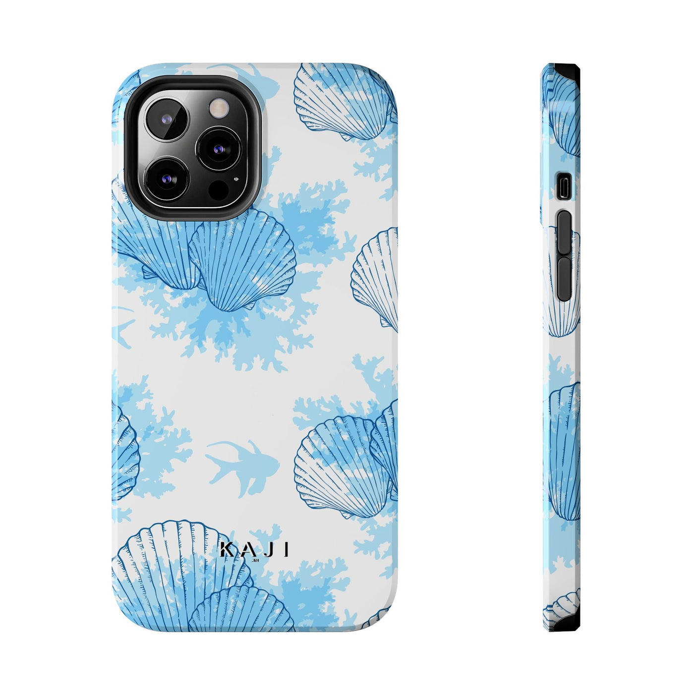 AquaShell