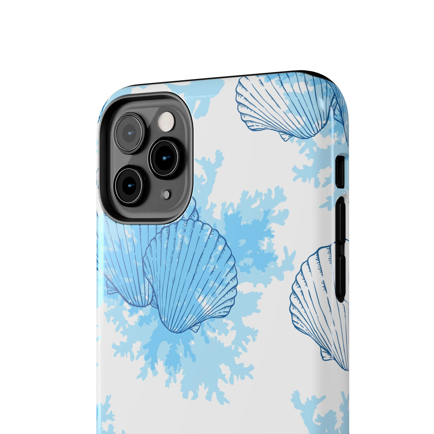 AquaShell